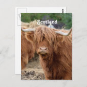 Hooglandenkool Briefkaart (Voorkant / Achterkant)