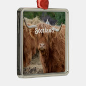 Hooglandenkool Metalen Ornament (Rechts)