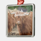 Hooglandenkool Metalen Ornament (Links)