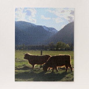 Hooglanders in Montana Puzzel