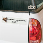 Hooglanderskoe Bumpersticker (Op Truck)