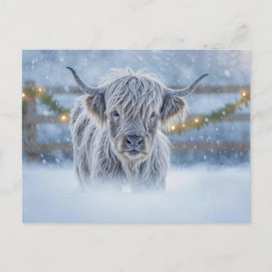 Hooglandkalf in Kerstvakantie Sneeuw Briefkaart