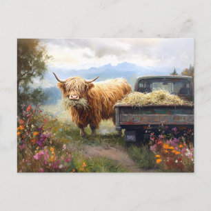 Hooglandkoe die hooi eet briefkaart