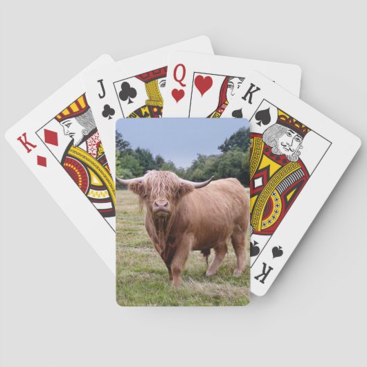 Hooglandrund speelkaarten (Achterkant)