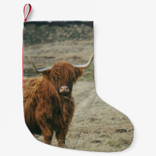  HOOGLANDSE KUSTHOOGTE KLEINE KERSTSOK