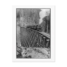 Hoogste enkel stijgende boomstam in de wereld