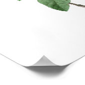 HOOGSTE KWALITEIT Botanische afdruk van Apple Blos Poster (Hoek)