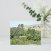 Hoogste woestijn briefkaart (Staand voorkant)