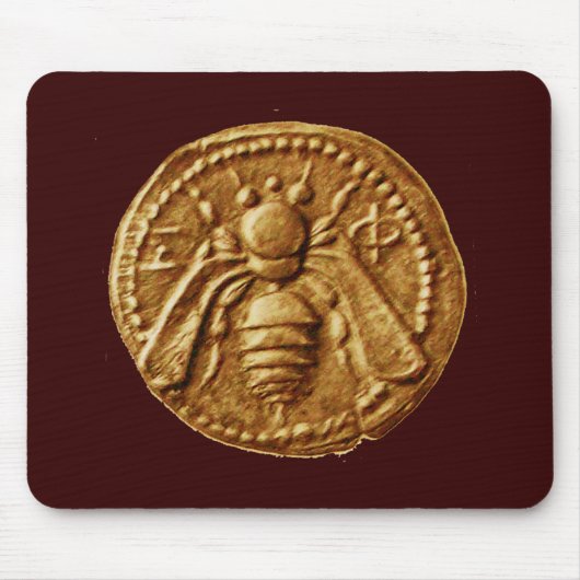 HOOGTE/BEEKEEPER APIRIST MUISMAT (Voorkant)