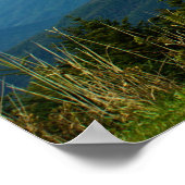 Hoogte op Mount Mitchell Poster (Hoek)