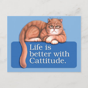 Hoogteligging Briefkaart
