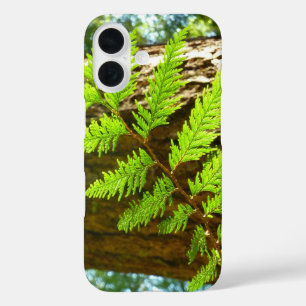 Hoogtepunten van een botanische kustmammoetboom iPhone 16 hoesje