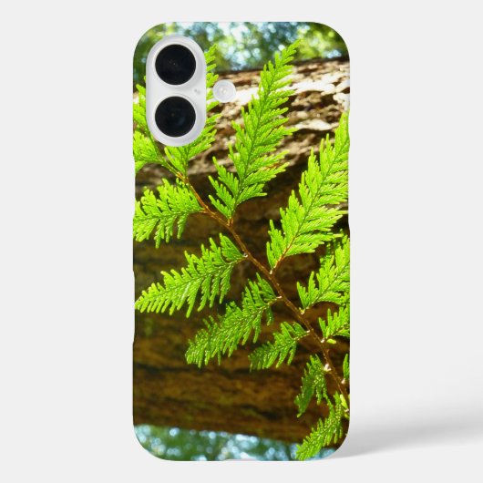 Hoogtepunten van een botanische kustmammoetboom Case-Mate iPhone case (Achterkant)