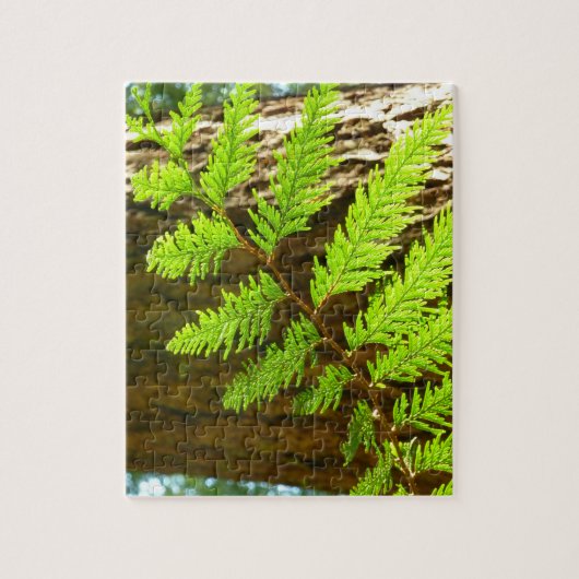 Hoogtepunten van een Redwood Tree Botanical Legpuzzel (Verticaal)