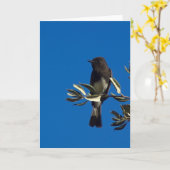 hoogvliegenvanger kaart (Gele Bloem)