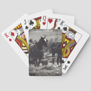 Hooi maken met paarden zwart en wit pokerkaarten