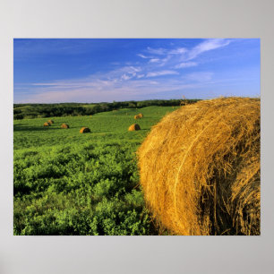 Hooibalen bij Bottineau North Dakota Poster