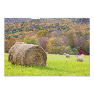 Hooibalen en herfstloof op boerderij, foto afdruk