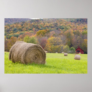 Hooibalen en herfstloof op boerderij, poster