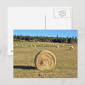 hooibalen op het briefkaart van boerderijen (Voorkant / Achterkant)