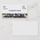 hooiboer visitekaartje (Voorkant / Achterkant)