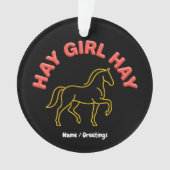 Hooimail Hooimail Retro Paard Grafisch 2026 Wester Ornament (voorkant)