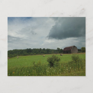 Hooiveld Briefkaart