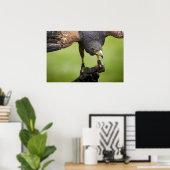 hooivogel poster (Thuiskantoor)