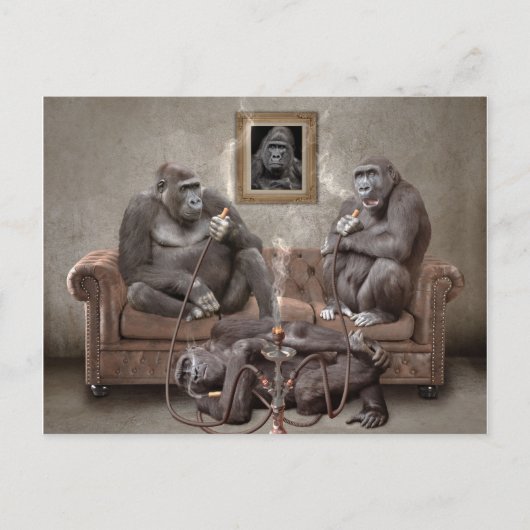 Hookah Fumer Apes Carte postale (Devant)