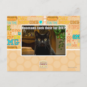 Hoomans maken daar bont af? briefkaart