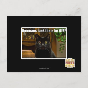 Hoomans maken daar bont af? briefkaart