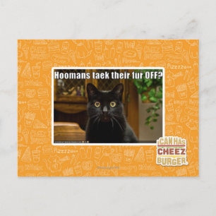 Hoomans maken daar bont af? briefkaart
