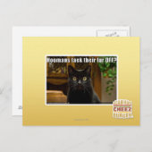 Hoomans maken daar bont af? briefkaart (Voorkant / Achterkant)