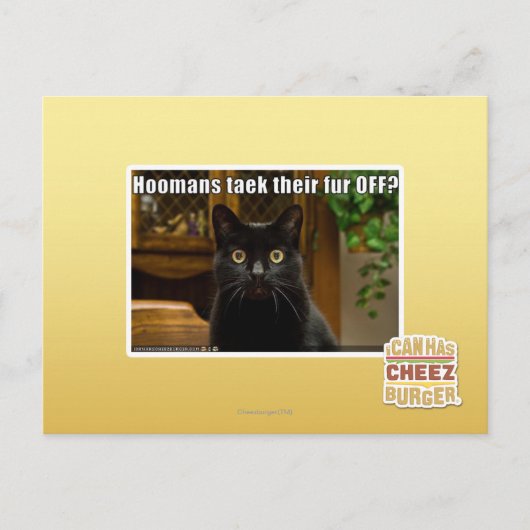 Hoomans maken daar bont af? briefkaart (Voorkant)