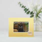 Hoomans maken daar bont af? briefkaart (Staand voorkant)