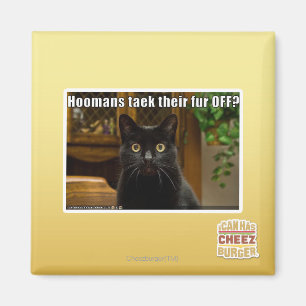 Hoomans maken daar bont af? magneet