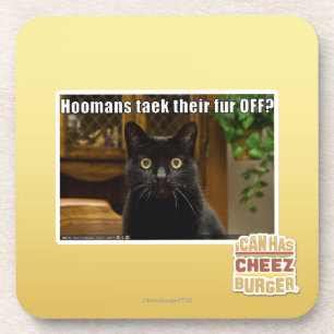 Hoomans maken daar bont af? onderzetter