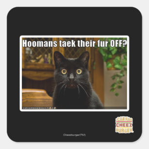 Hoomans maken daar bont af? vierkante sticker