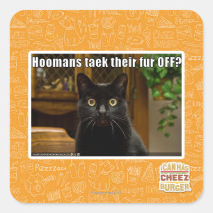 Hoomans maken daar bont af? vierkante sticker