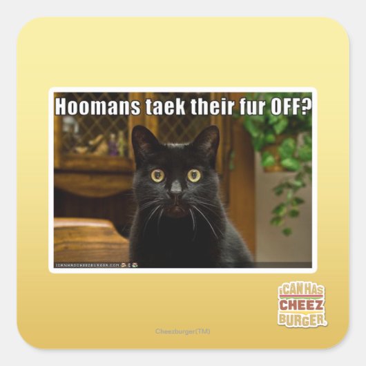 Hoomans maken daar bont af? vierkante sticker (Voorkant)
