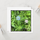 Hoop 5.25 x 5.25 Vierkant Kaart (Voorkant / Achterkant in situ)