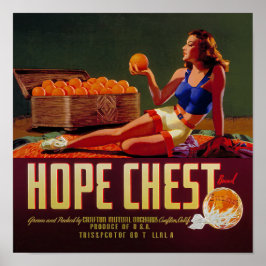 Hoop Borst Merk Sinaasappels Fruit Label Poster