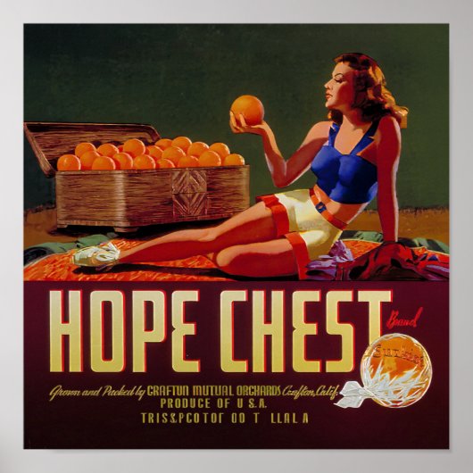  Hoop Borst Merk Sinaasappels Fruit Label Poster (Voorkant)