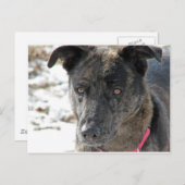 Hoop Briefkaart (Voorkant / Achterkant)