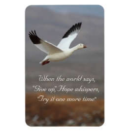 Hoop dat whisky het nog een keer probeert magneet