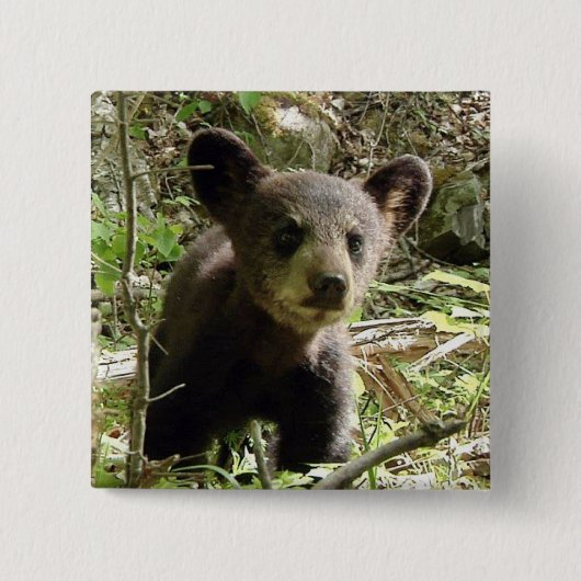 Hoop de Button van het Beer (Voorkant)