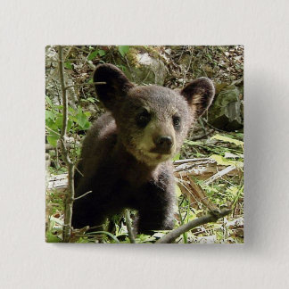 Hoop de Button van het Beer