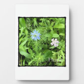 Hoop Fotoplaat (voorkant)