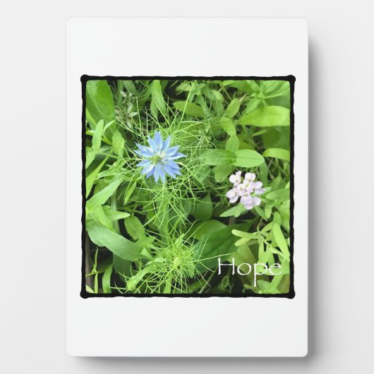 Hoop Fotoplaat (voorkant)