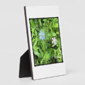 Hoop Fotoplaat (Zijkant)